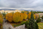 گزارش تصویری یک روز بارانی در دانشگاه بیرجند